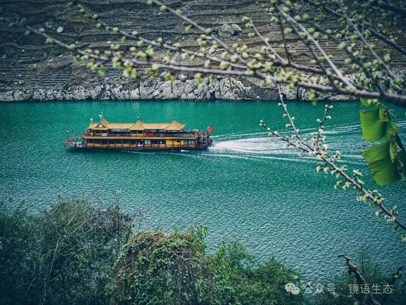 微信图片_2026-03-03_123752_132.jpg 微信图片_2026-03-03_123752_132.jpg