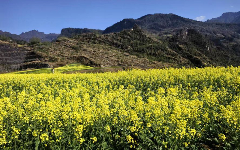 微信图片_2026-03-16_102955_868.jpg 微信图片_2026-03-16_102955_868.jpg