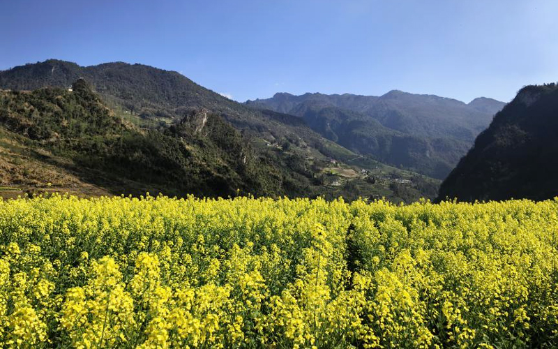 微信图片_2026-03-16_103000_590.jpg 微信图片_2026-03-16_103000_590.jpg